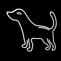 Logo Dog Neonskylt