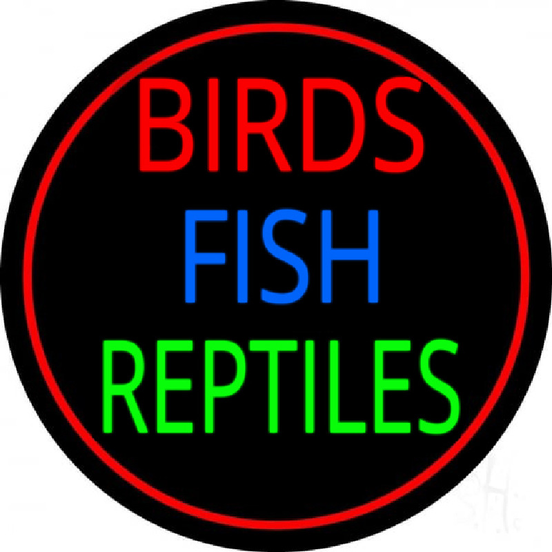 Birds Fish Reptiles 2 Neonskylt