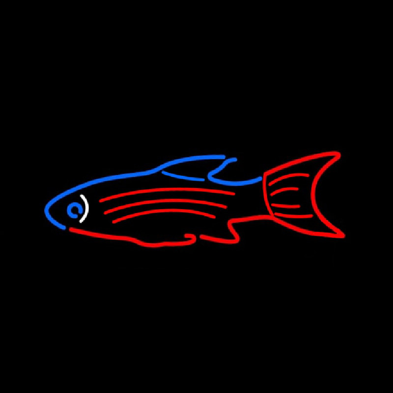 Blue Red Fish Neonskylt