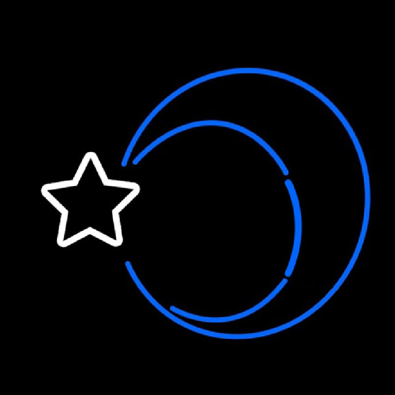 Moon With Star Neonskylt
