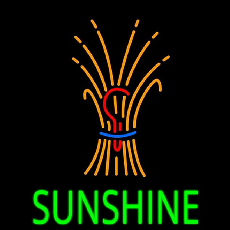 Sunshine With Logo Neonskylt