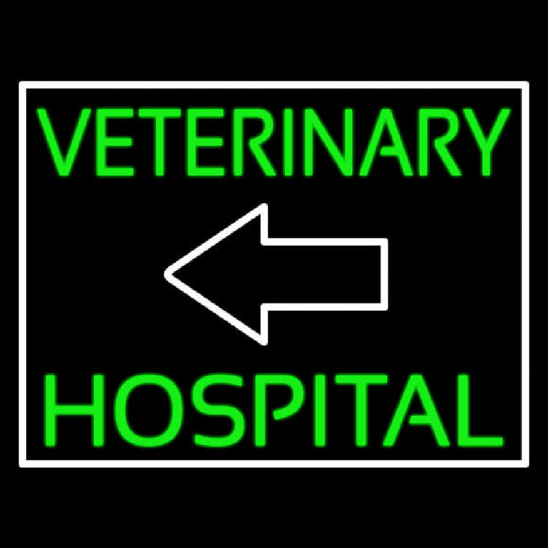 Veterinary Hospital With Arrow Neonskylt