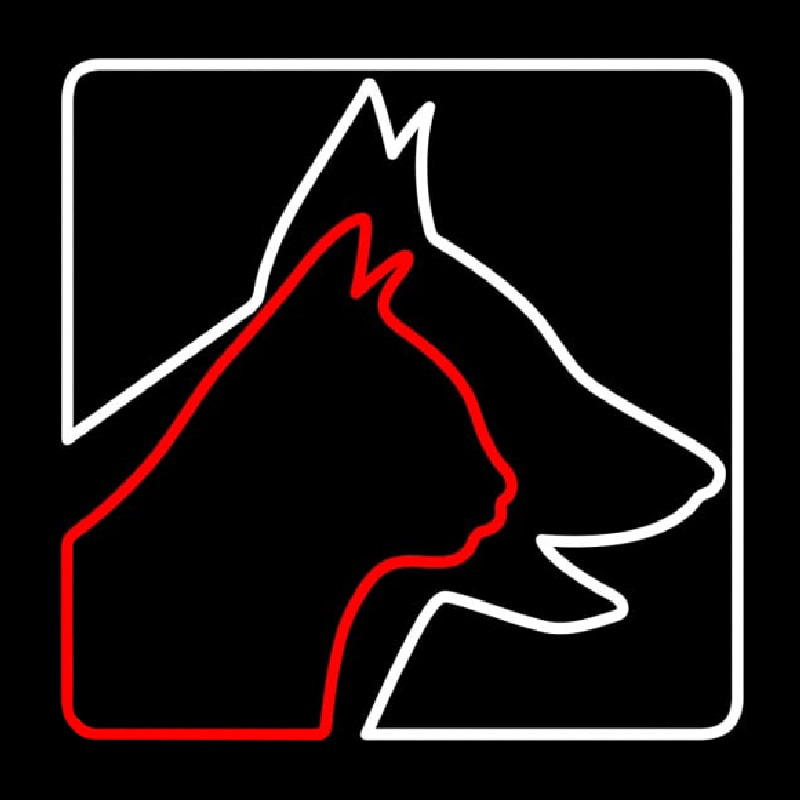 Veterinary Logo Dog Logo Cat Neonskylt