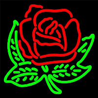 Alpha Omicron Pi Logo Neonskylt