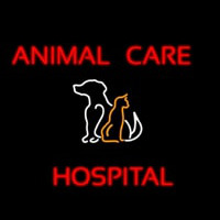 Animal Care Hospital Logo Neonskylt