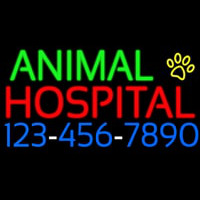 Animal Hospital With Phone Number Neonskylt