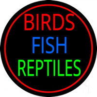 Birds Fish Reptiles 2 Neonskylt