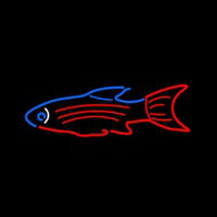 Blue Red Fish Neonskylt