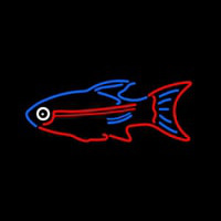 Blue Red Fish Neonskylt