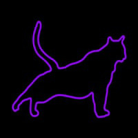 Cat Stretching Purple Neonskylt
