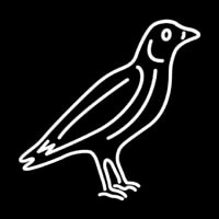 Crow Neonskylt