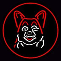 Dog Grooming Red Oval Neonskylt