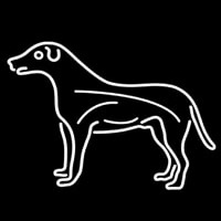 Dog Neonskylt