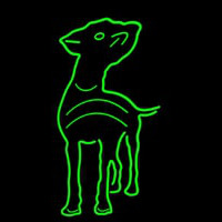 Dog Neonskylt