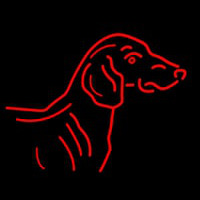 Dog Neonskylt