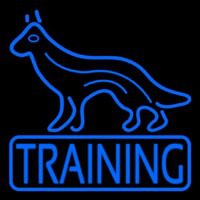 Dog Training Neonskylt
