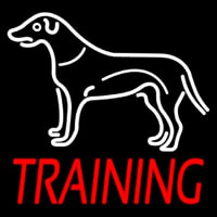 Dog Training Neonskylt