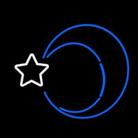 Moon With Star Neonskylt