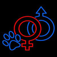Neuter Pet Icon Neonskylt