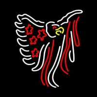 New American Us Eagle Flag Tan Banner Neonskylt