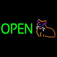 Open Cat Logo Green Letters Neonskylt