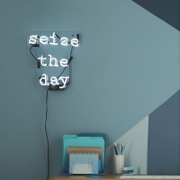 Seize the day Neonskylt