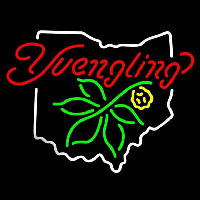 State Of Ohio Yuengling Beer Sign Neonskylt