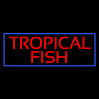 Tropical Fish Blue Border Neonskylt