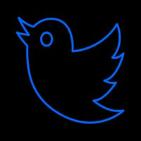 Twitter Bird Logo Neonskylt