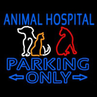 Animal Hospital Parking Only Neonskylt